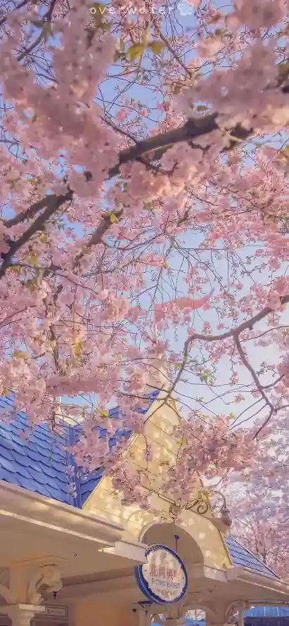 4k成果壁纸 - 户外 - 时钟 - 春日「哲风壁纸」