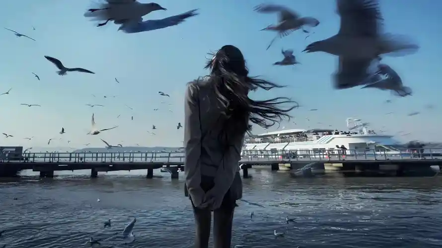 4k海景壁纸-海面 - 海风-游轮「哲风壁纸」
