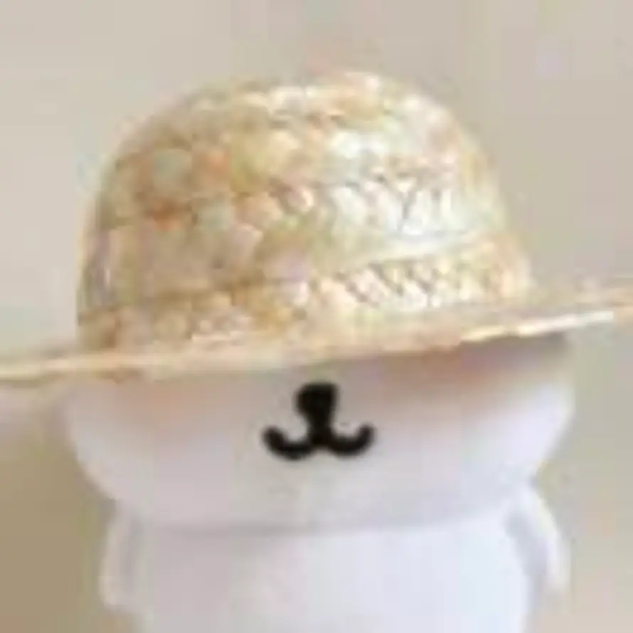 ༨ꫛꪝᝰ෴ ۣ的头像