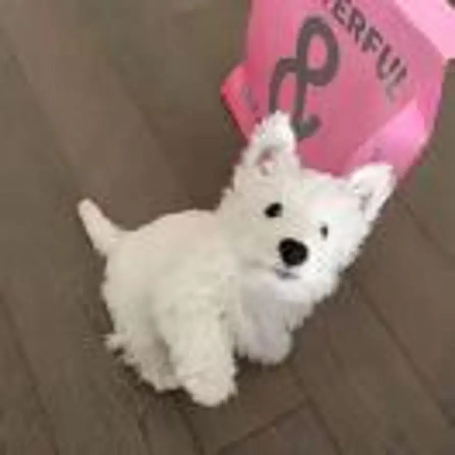 _的头像