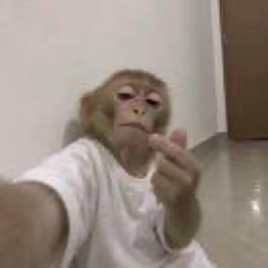 F的头像