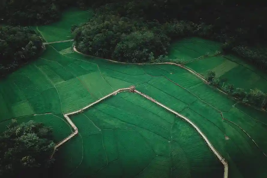4k乡村壁纸-农田 - 林地-田园「哲风壁纸」