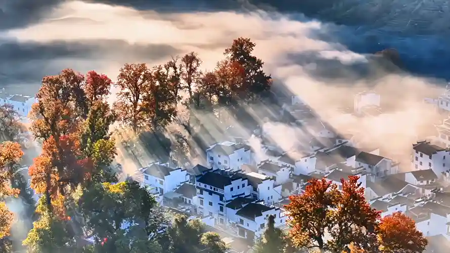 4k古树壁纸-婺源 - 山村-晨雾「哲风壁纸」