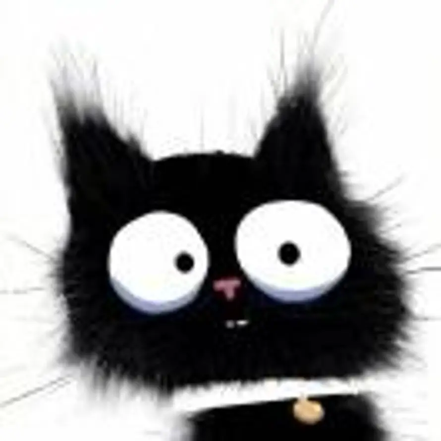 梁晓栋 黑猫学长的头像