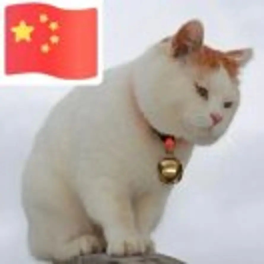 呲牙猫的头像