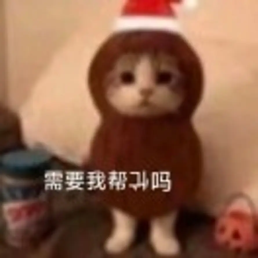 m ouo的头像