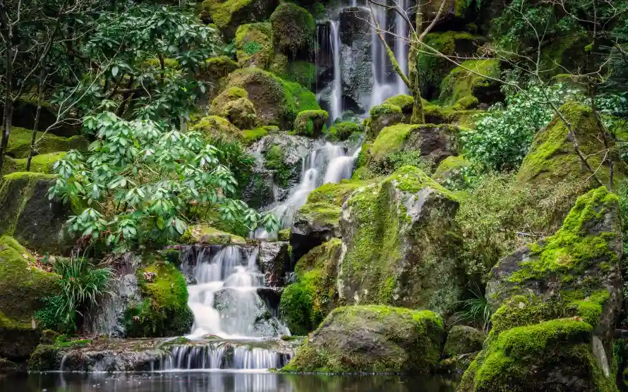 4k山林壁纸-岩石 - 森林-植被「哲风壁纸」