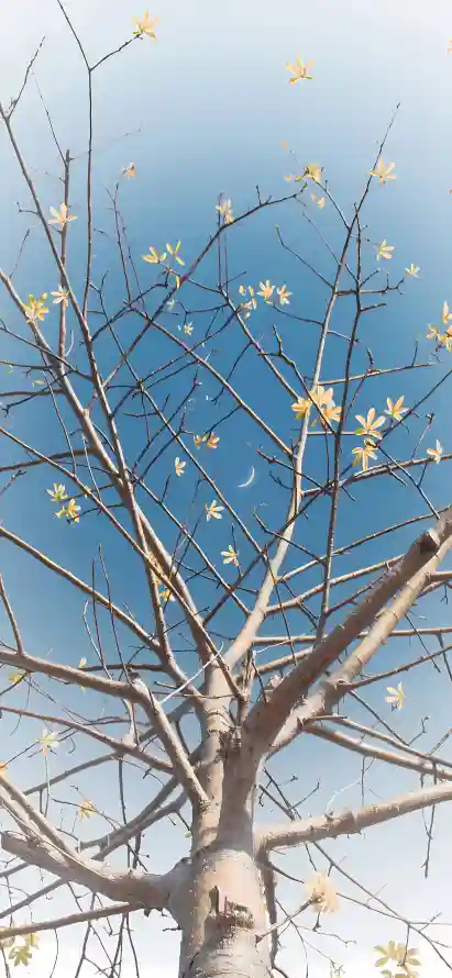 4k仰拍壁纸 - 嫩芽 - 新生 - 新芽「哲风壁纸」