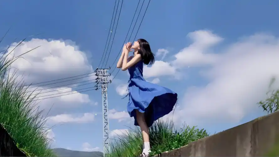 4k仰拍壁纸-夏日 - 晴空-清新「哲风壁纸」