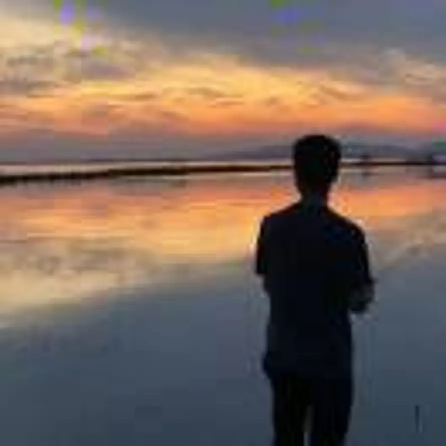 wfx的头像
