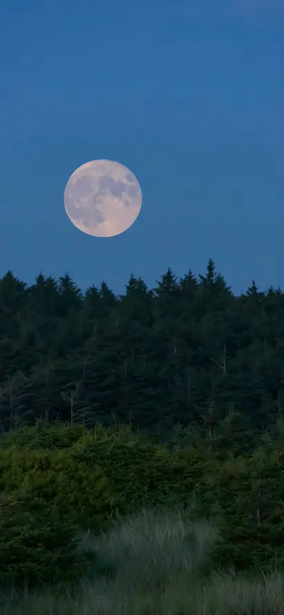 4k夜晚壁纸 - 夜空 - 暮色 - 月亮「哲风壁纸」