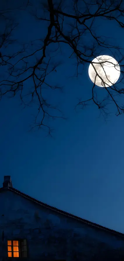 4k夜晚壁纸 - 夜空 - 月亮 - 月夜「哲风壁纸」