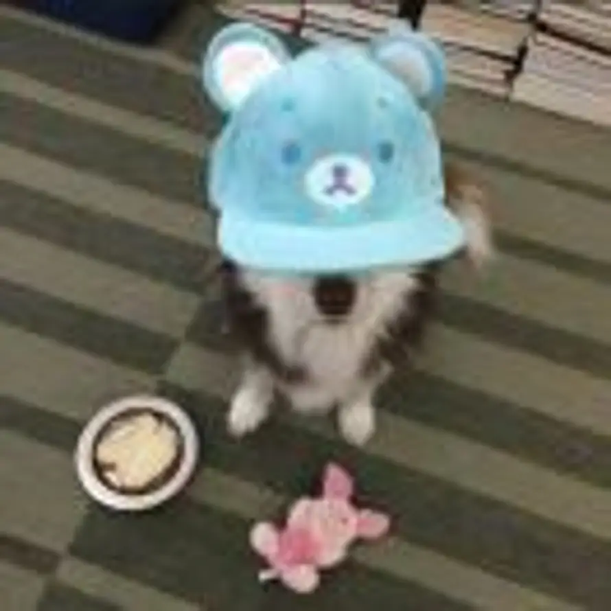 7cook^的头像