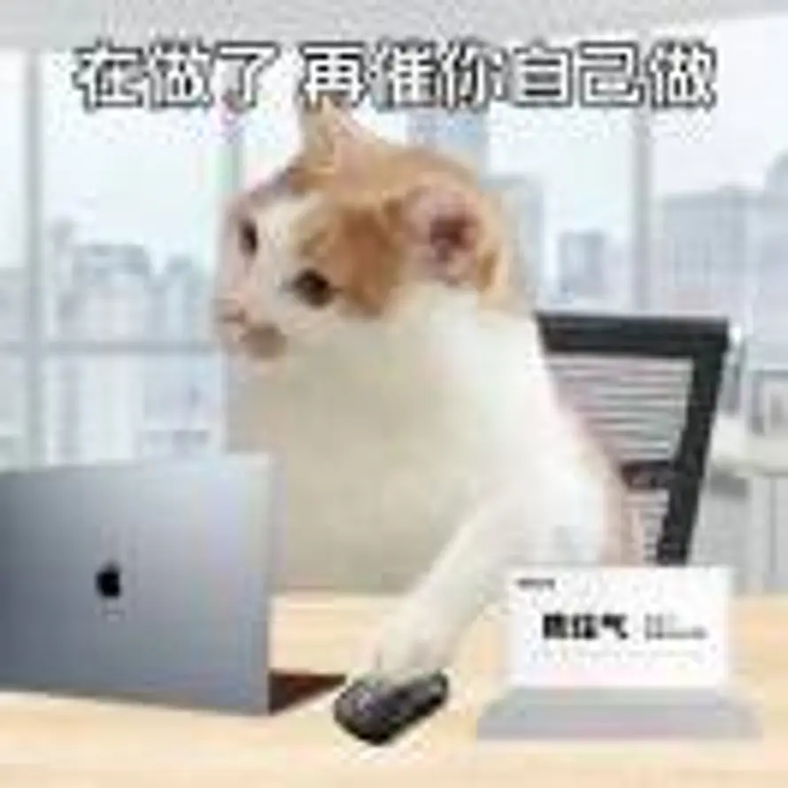 陈住气的头像