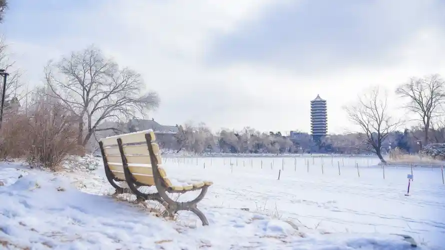 3k冬季壁纸-枯树 - 燕园-积雪「哲风壁纸」