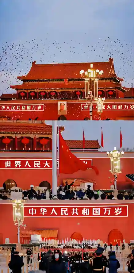 4k北京壁纸 - 国庆 - 白鸽 - 红墙「哲风壁纸」