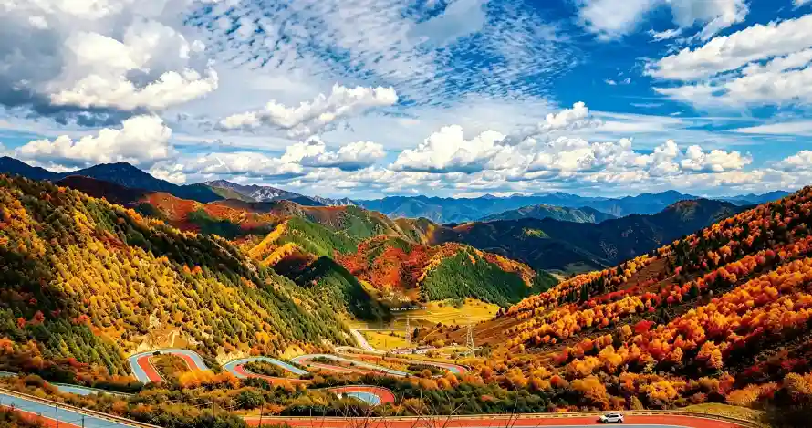 4k壁纸壁纸 - 秋日彩林 - 电脑壁纸 - wallpaper「哲风壁纸」 4k壁纸壁纸 - 秋日彩林 - 电脑壁纸 - wallpaper「哲风壁纸」