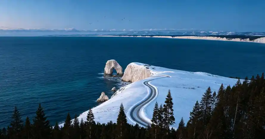 3k松林壁纸-海边 - 礁石-积雪「哲风壁纸」