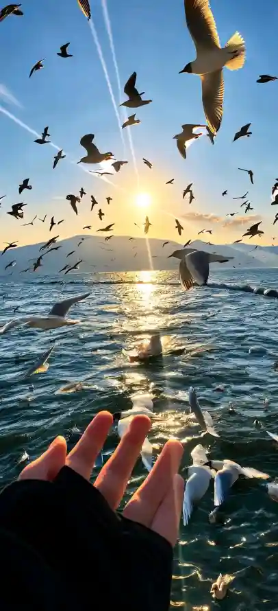 4k夕阳壁纸 - 日落 - 波光 - 海边「哲风壁纸」