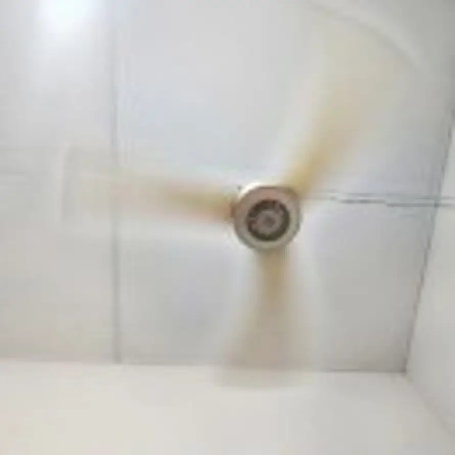 李的头像