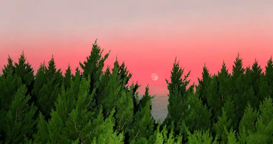 3k壁纸壁纸-夕阳 - 日落-晚霞「哲风壁纸」