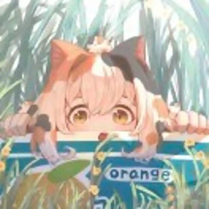 待在绿匣里的猫的头像