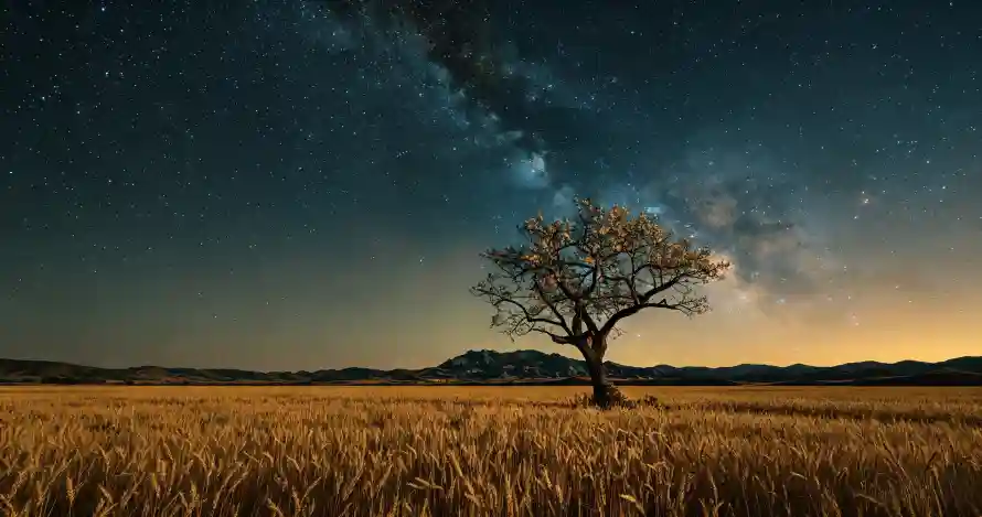 3k壁纸壁纸-夜景 - 孤树-旷野「哲风壁纸」