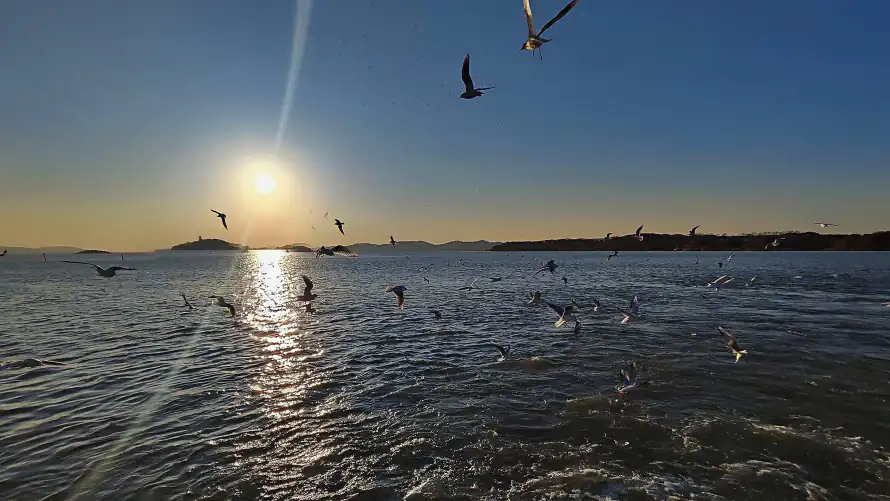 4k夕阳壁纸-大海 - 日落-波光「哲风壁纸」