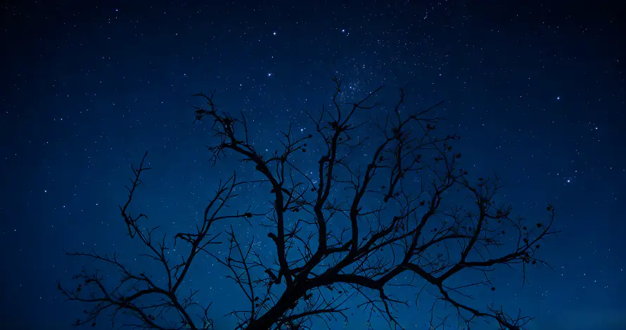 3k夜晚壁纸-夜空 - 星空-极简「哲风壁纸」