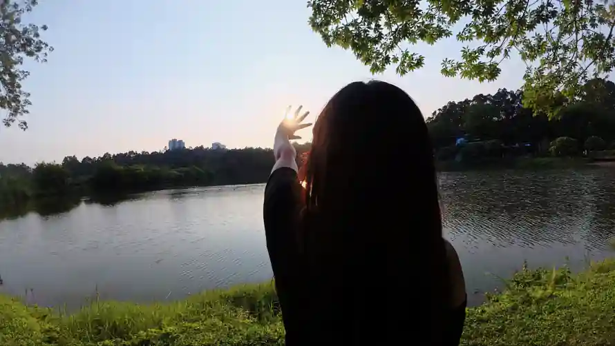 4k夕阳壁纸-户外 - 抬手-树林「哲风壁纸」