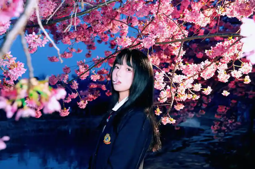 2k夜景壁纸-夜樱 - 少女-日系「哲风壁纸」