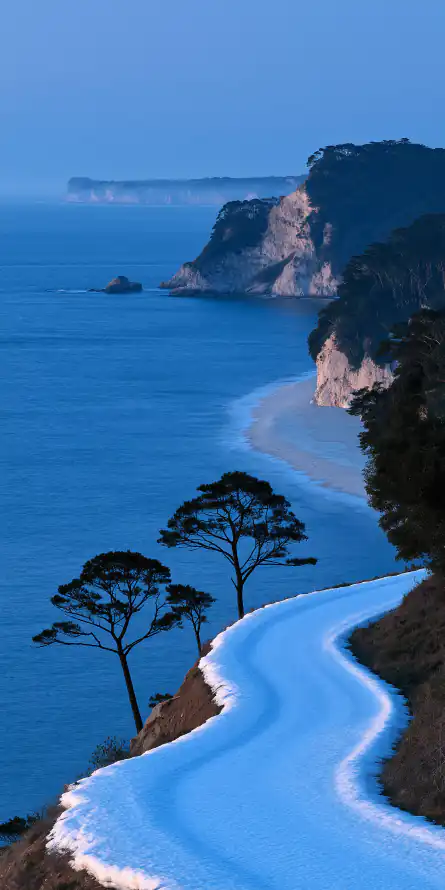4k悬崖壁纸 - 松树 - 海岸 - 海边「哲风壁纸」