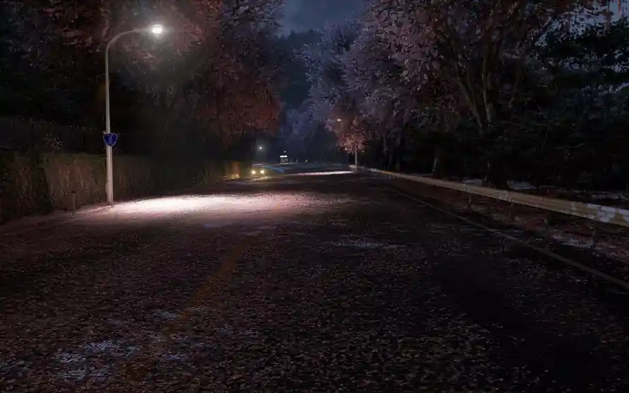 3k夜晚壁纸-夜景 - 树木-空旷「哲风壁纸」