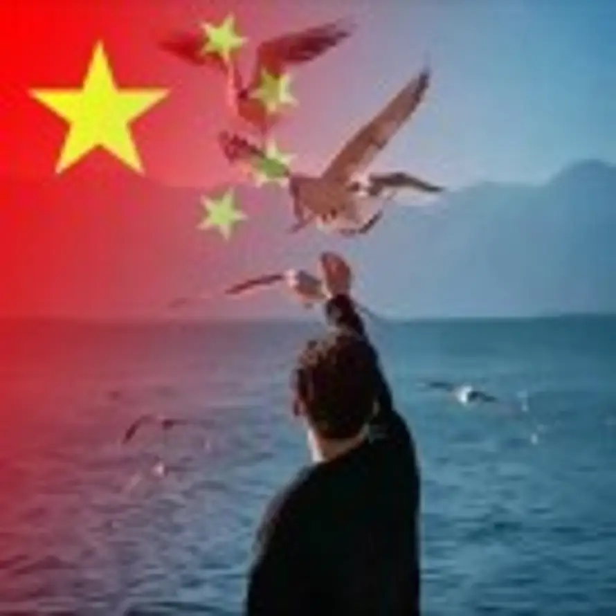浮生的头像