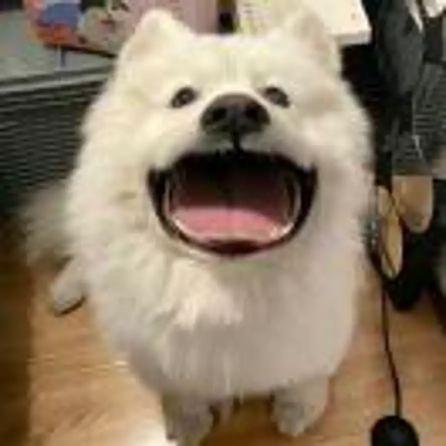 O₂的头像