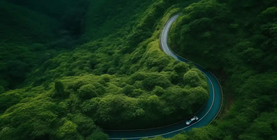 2k山林壁纸-山谷 - 山道-森林「哲风壁纸」