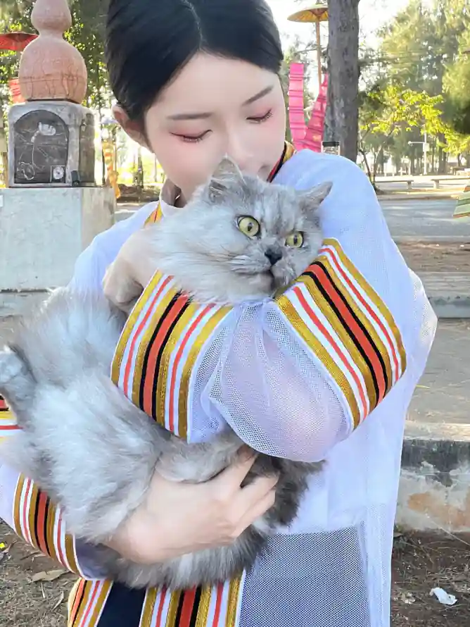 4k户外壁纸 - 抱猫 - 灰猫 - 绿树「哲风壁纸」