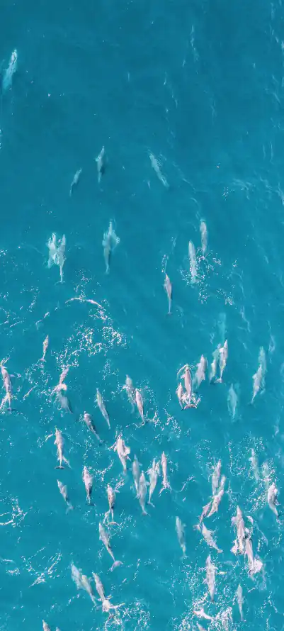 4k波光壁纸 - 海景 - 海洋 - 海浪「哲风壁纸」