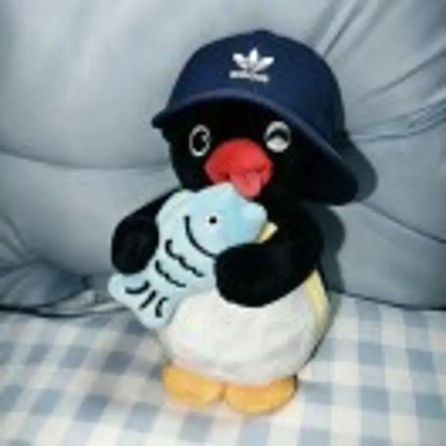 pingu的头像