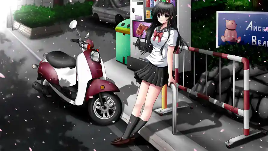 4k夜晚壁纸 - 女孩 - 护栏 - 樱花「哲风壁纸」
