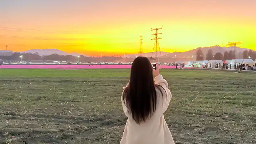 2k夕阳壁纸-天空 - 户外-拍照「哲风壁纸」