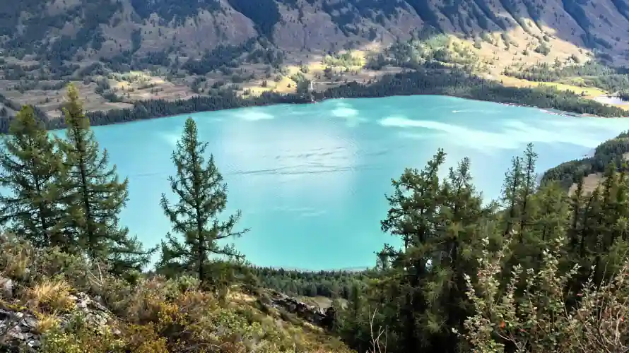 4k针叶林壁纸-湖 - 喀纳斯湖-山间植被「哲风壁纸」
