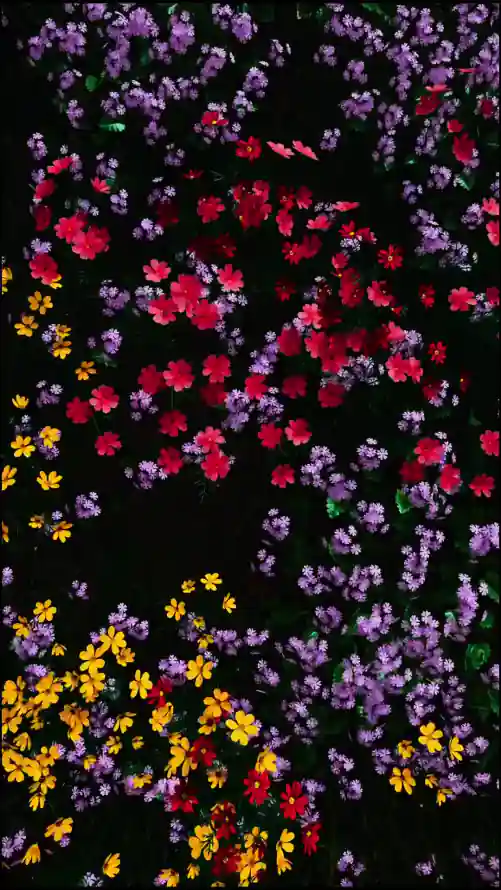 4k小花壁纸 - 花 - 暗调 - 植物「哲风壁纸」