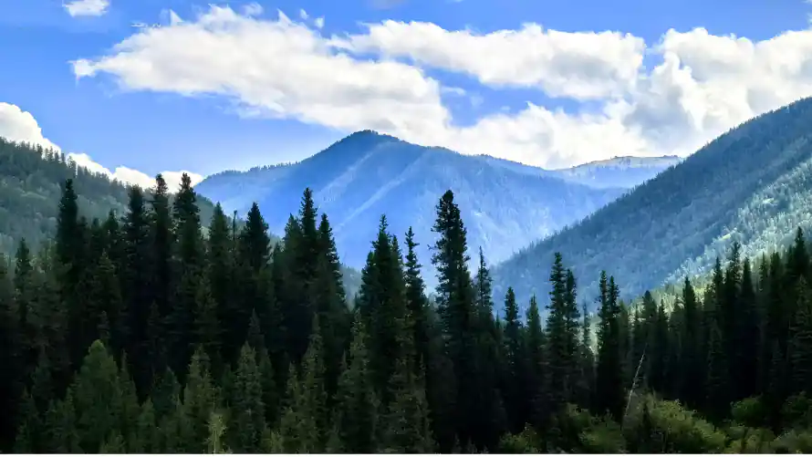 4k大山壁纸 - 山峦 - 山谷 - 森林「哲风壁纸」