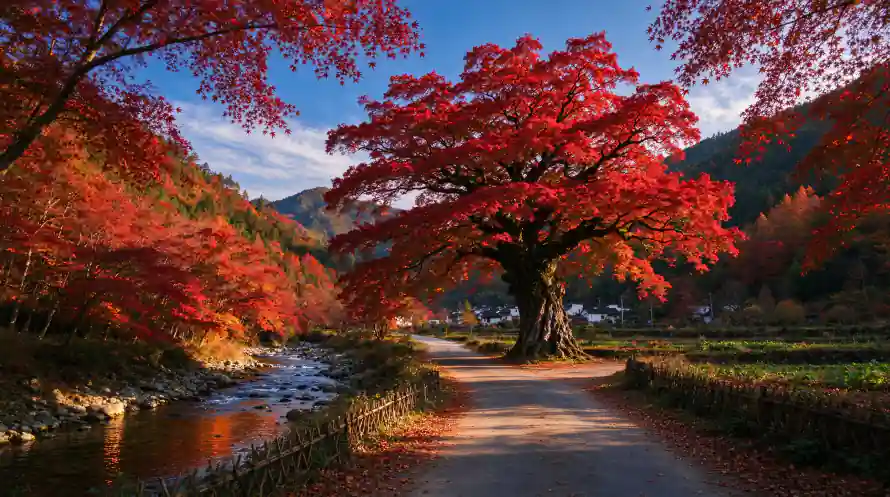 3k古树壁纸-山林 - 山间-步道「哲风壁纸」