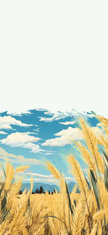4k手机壁纸 - 晴空 - 远山 - 麦穗「哲风壁纸」