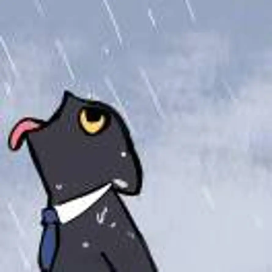 老猫的头像