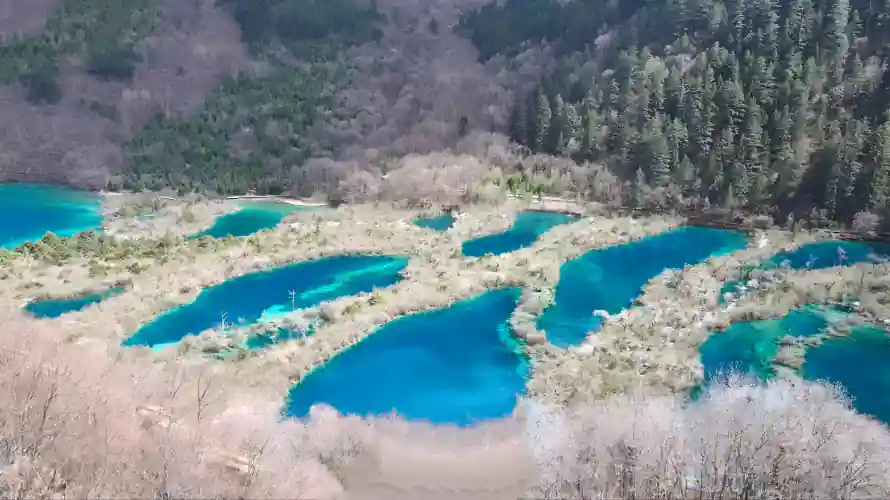 4k山林壁纸-九寨沟 - 钙化池-钙华滩「哲风壁纸」