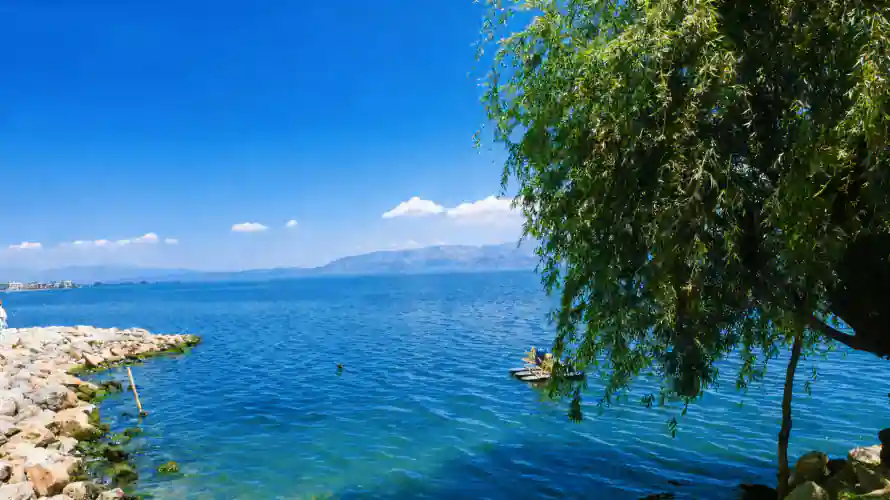 4k垂柳壁纸-大海 - 晴空-海面「哲风壁纸」