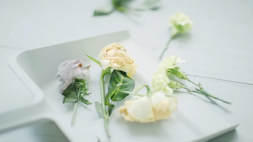 2k柔焦壁纸-绿叶 - 静物-鲜花「哲风壁纸」